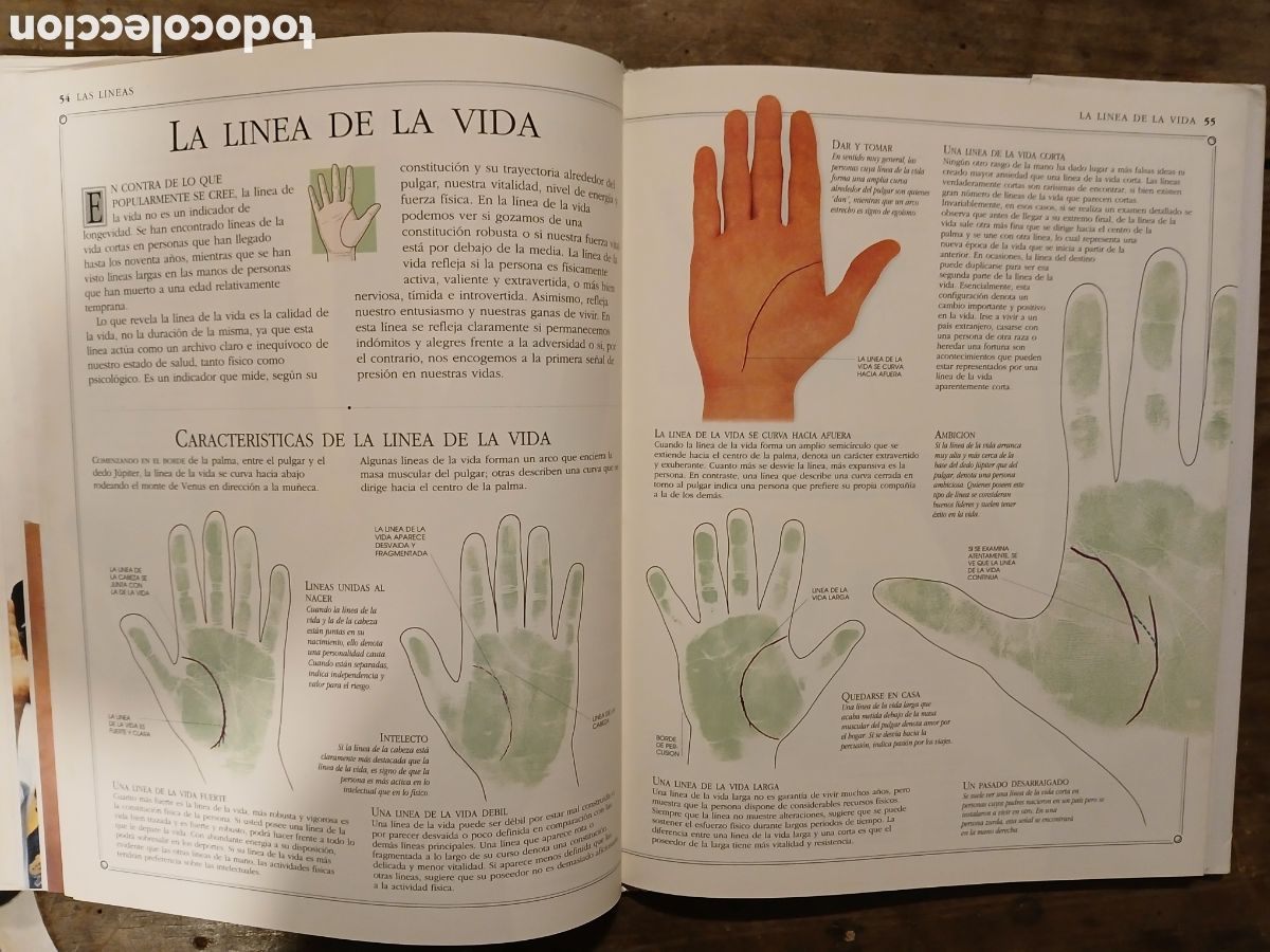 Libros de segunda mano: El Arte de leer la mano. Lori Reid. - Foto 8