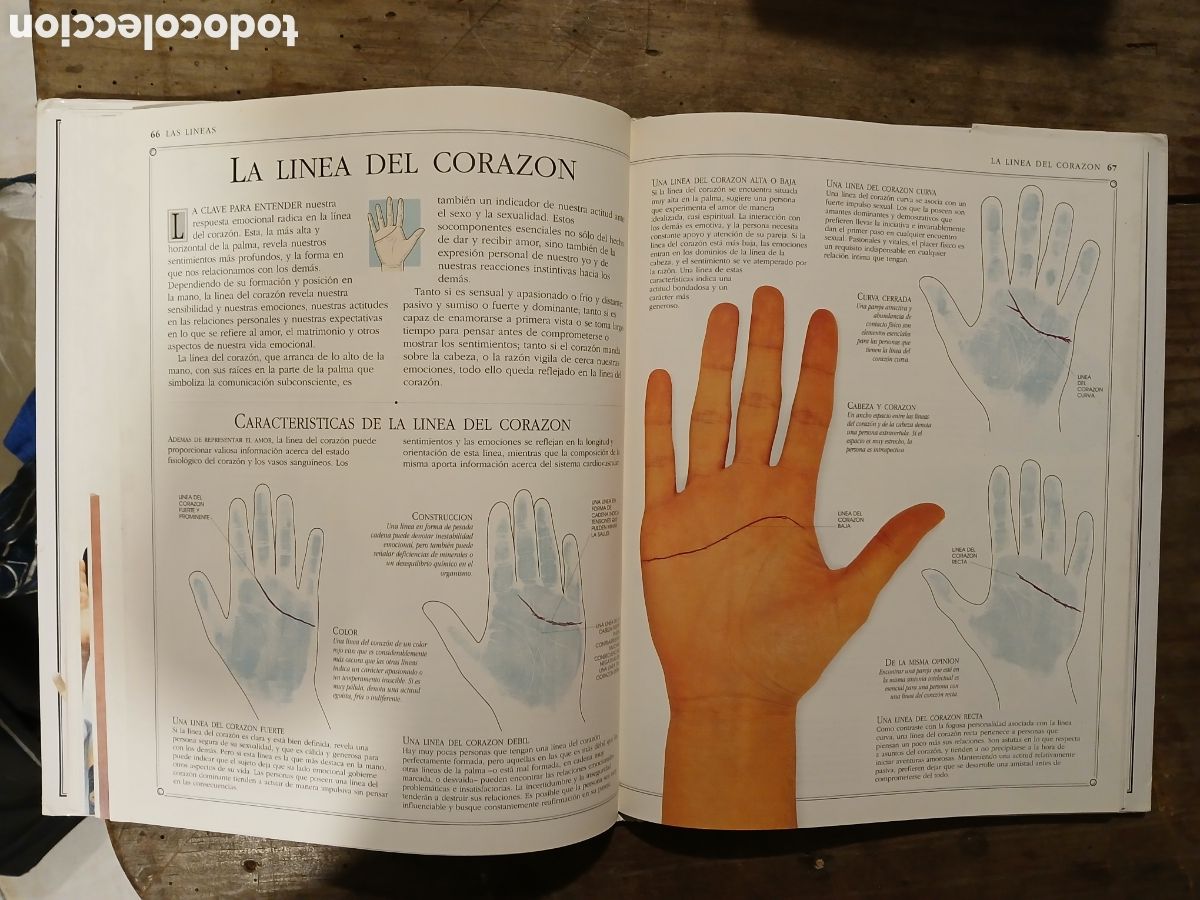 Libros de segunda mano: El Arte de leer la mano. Lori Reid. - Foto 9