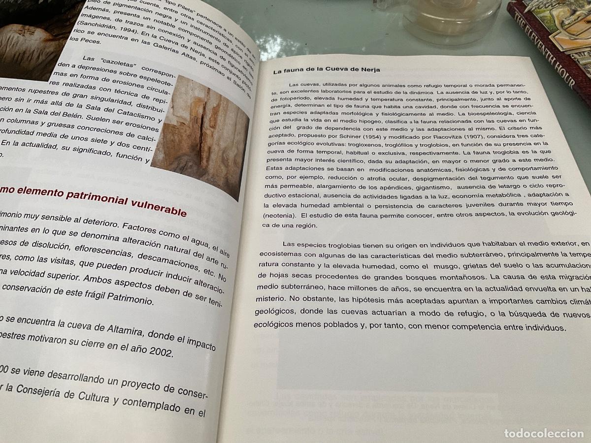 Libros de segunda mano: I curso de formaci&oacute;n Cueva de Nerja 2013 - Foto 5