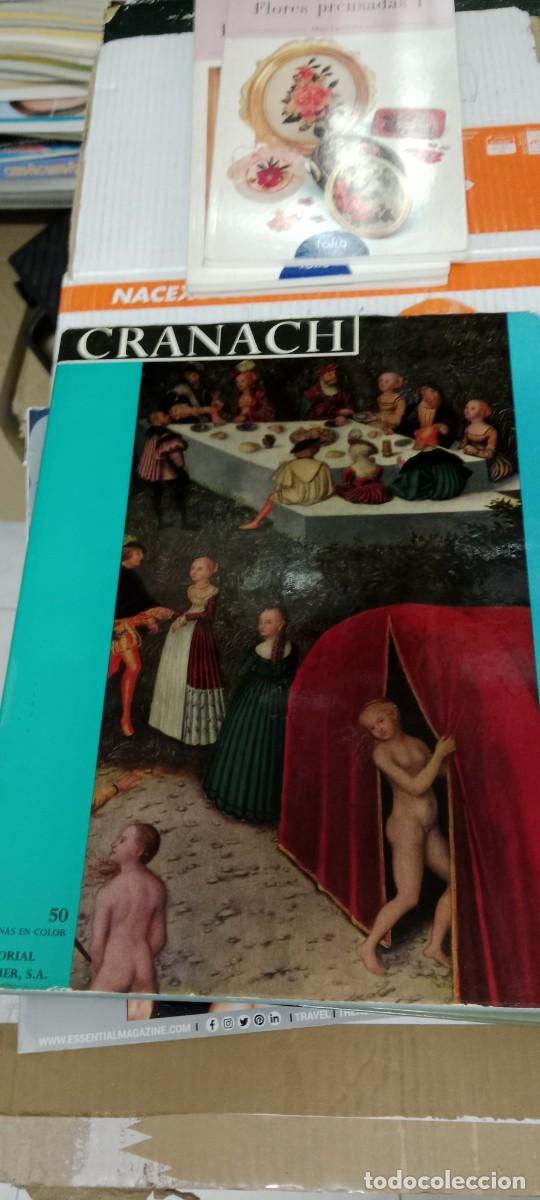 Libros de segunda mano: TOP LIBRO CRANACH, 50 LAMINAS EN COLOR, EDITORIAL NOGUER, - Foto 1