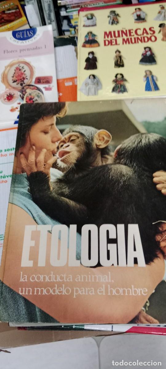 Libros de segunda mano: TOP LIBRO ETOLOGIA LA CONDUCTA ANIMAL - Foto 1