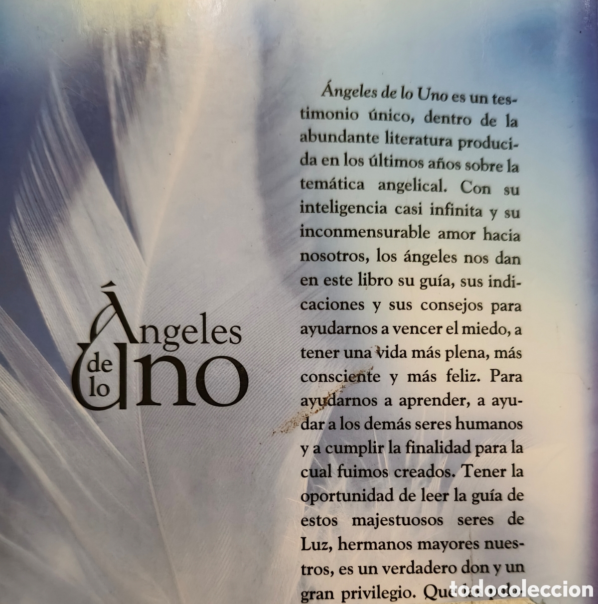 Libros de segunda mano: &Aacute;ngeles de los Uno- Urb&oacute;reas - Foto 21