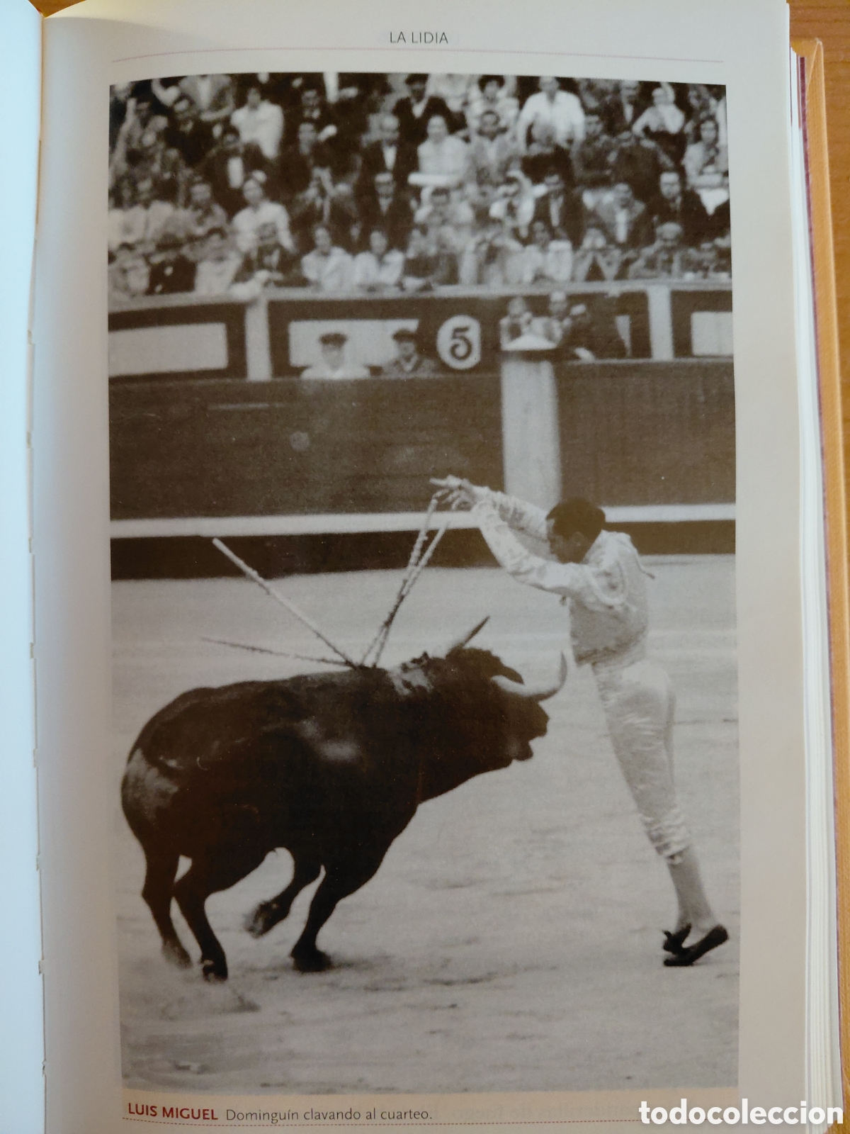 Libros de segunda mano: COSS&Iacute;O, LOS TOROS, EL TOREO, 4 - Foto 3