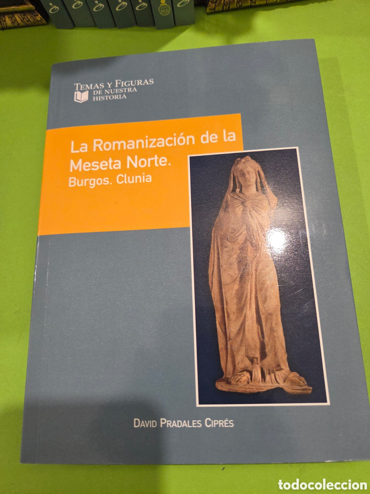 Libros de segunda mano: &rdquo;&rdquo;TEMAS Y FIGURAS DE NUESTRA HISTORIA&rdquo;&rdquo;..8 EJEMPLARES....2002/2009... - Foto 15