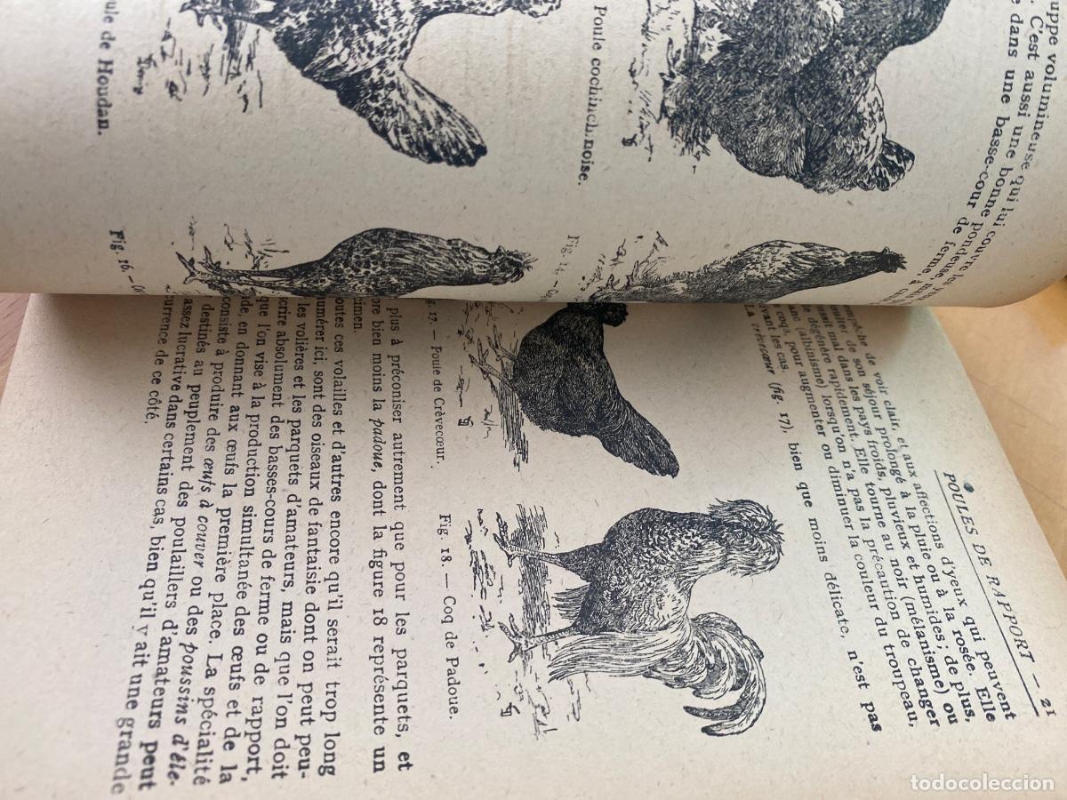 Libros de segunda mano: POULE ELEVAGE DE RAPPORT 12 GRAVURES A-10 BROUCHURE LAROUSSE - Foto 5