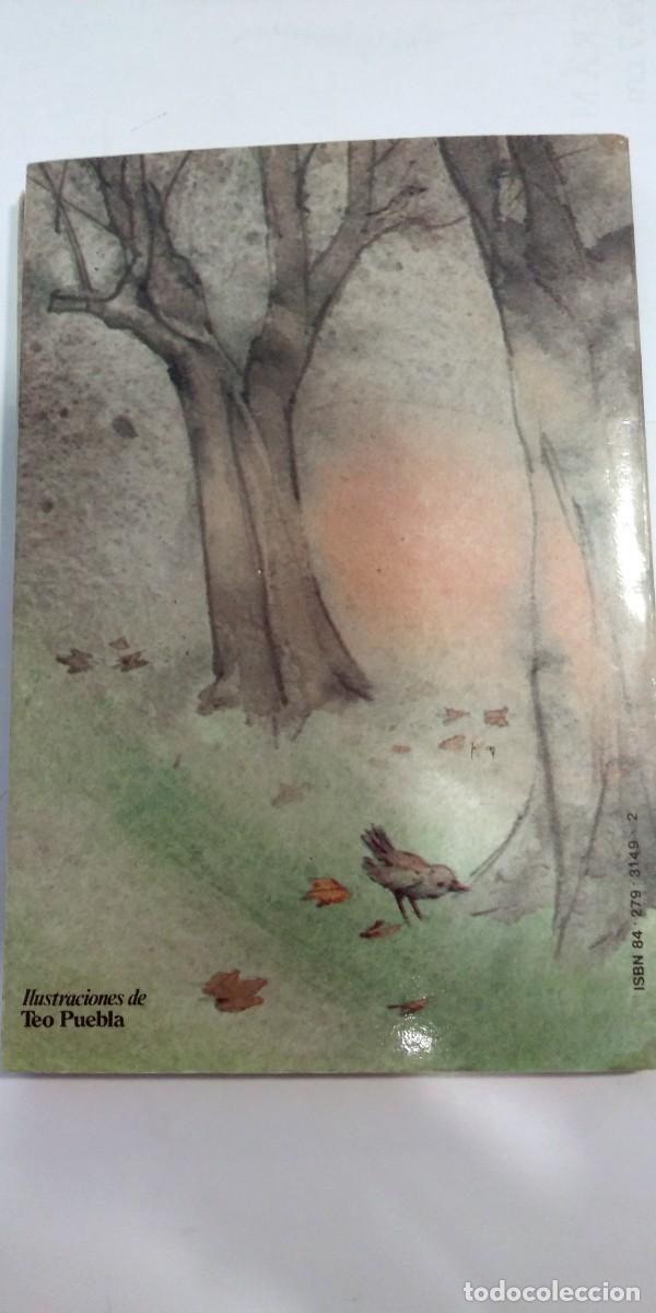 Libros de segunda mano: El cuento interrumpido Pilar Mateos - Foto 2