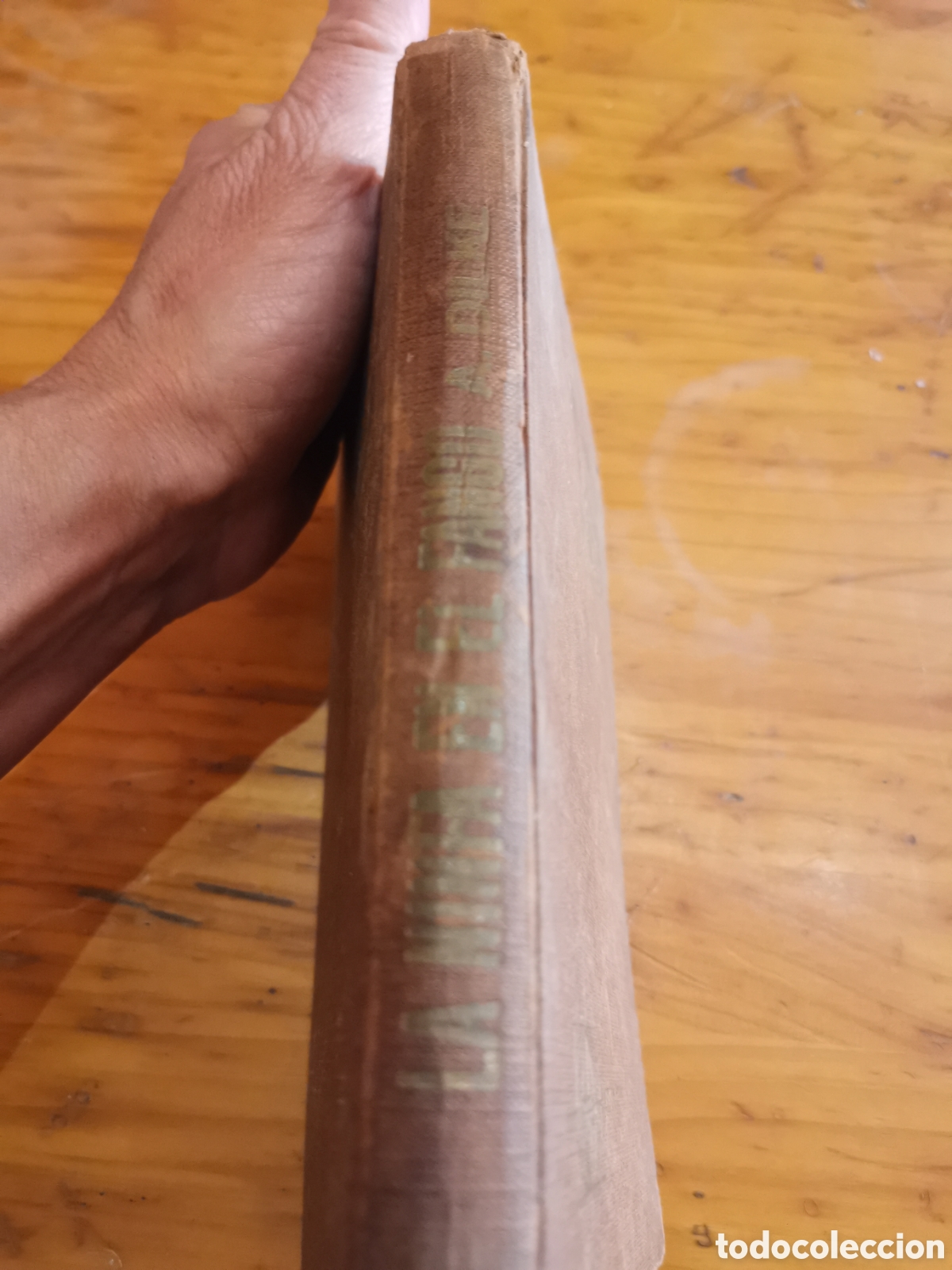 Libros de segunda mano: Libro la ninfa en el fango de Annabel dilke a&ntilde;o 1967 - Foto 2