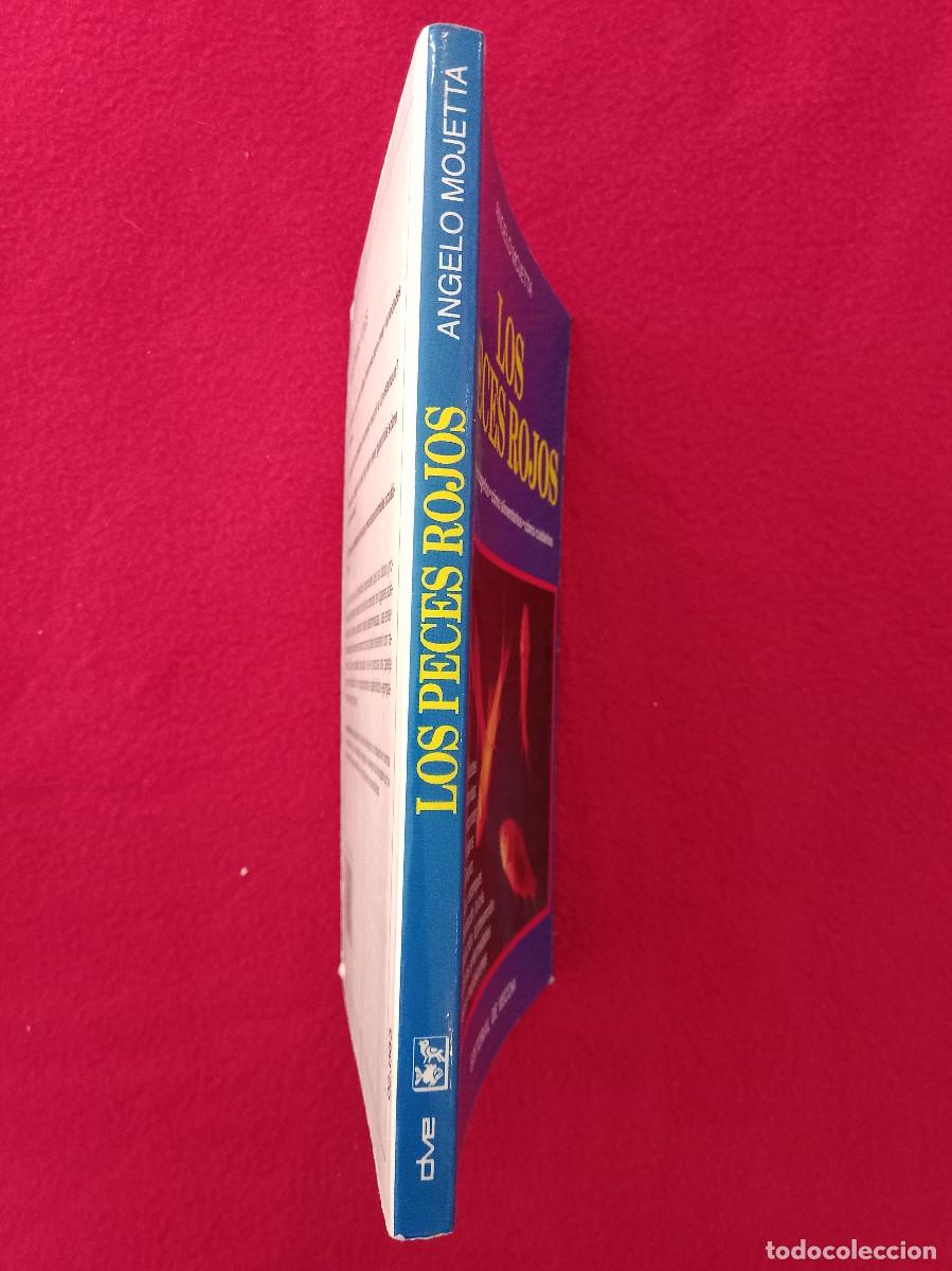 Libros de segunda mano: Los Peces Rojos - Angelo Mojetta - Editorial de Vecchi, S.A. 1991 - Foto 2