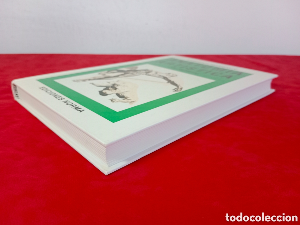 Libros de segunda mano: ARNOLUD MOREAUX , ANATOM&Iacute;A ART&Iacute;STICA DEL HOMBRE, ED. NORMA - Foto 3