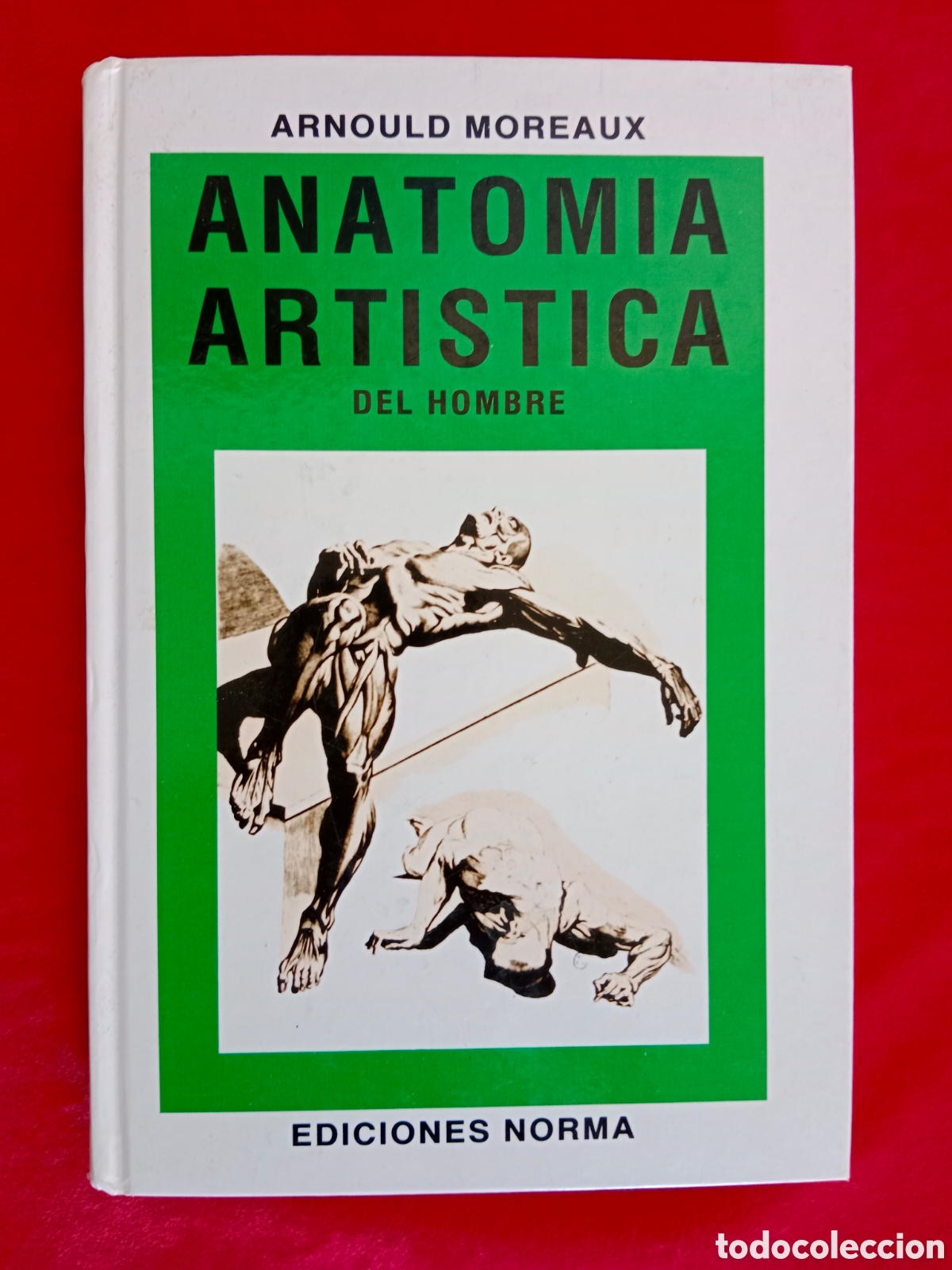 Libros de segunda mano: ARNOLUD MOREAUX , ANATOM&Iacute;A ART&Iacute;STICA DEL HOMBRE, ED. NORMA - Foto 1