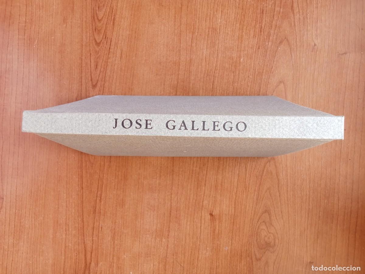 Livres d'occasion: CARTOGRAF&Iacute;AS DEL SILENCIO JOSE GALLEGO ARTISTA PINTOR ARTE PINTURAS ALICANTE 1992
