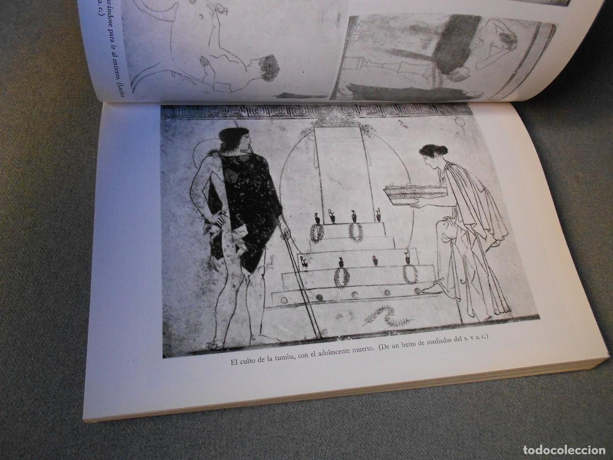 Libros de segunda mano: PSIQUE. LA IDEA DEL ALMA Y LA INMORTALIDAD ENTRE LOS GRIEGOS - Foto 9
