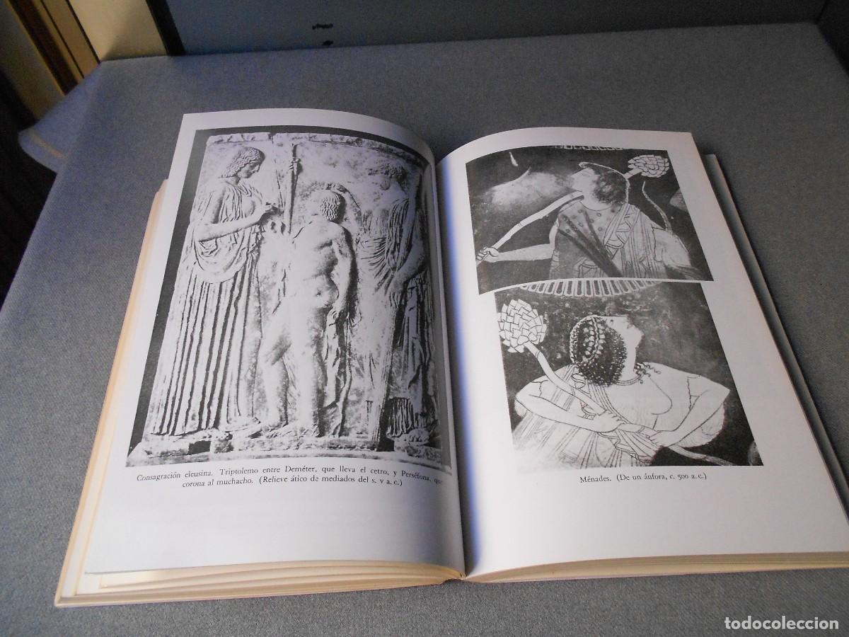 Libros de segunda mano: PSIQUE. LA IDEA DEL ALMA Y LA INMORTALIDAD ENTRE LOS GRIEGOS - Foto 12