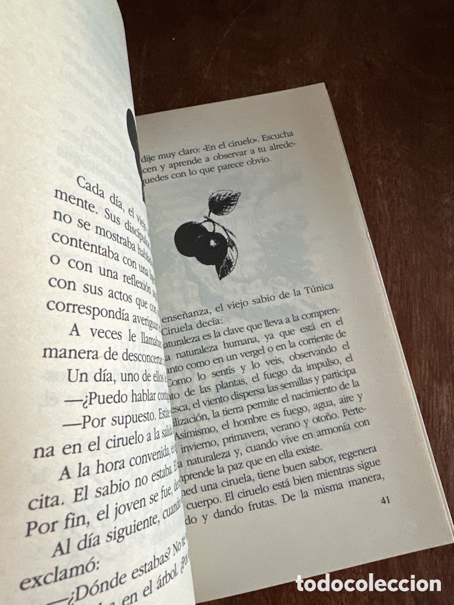 Libros de segunda mano: Los sabios de la t&uacute;nica color ciruela - Foto 3