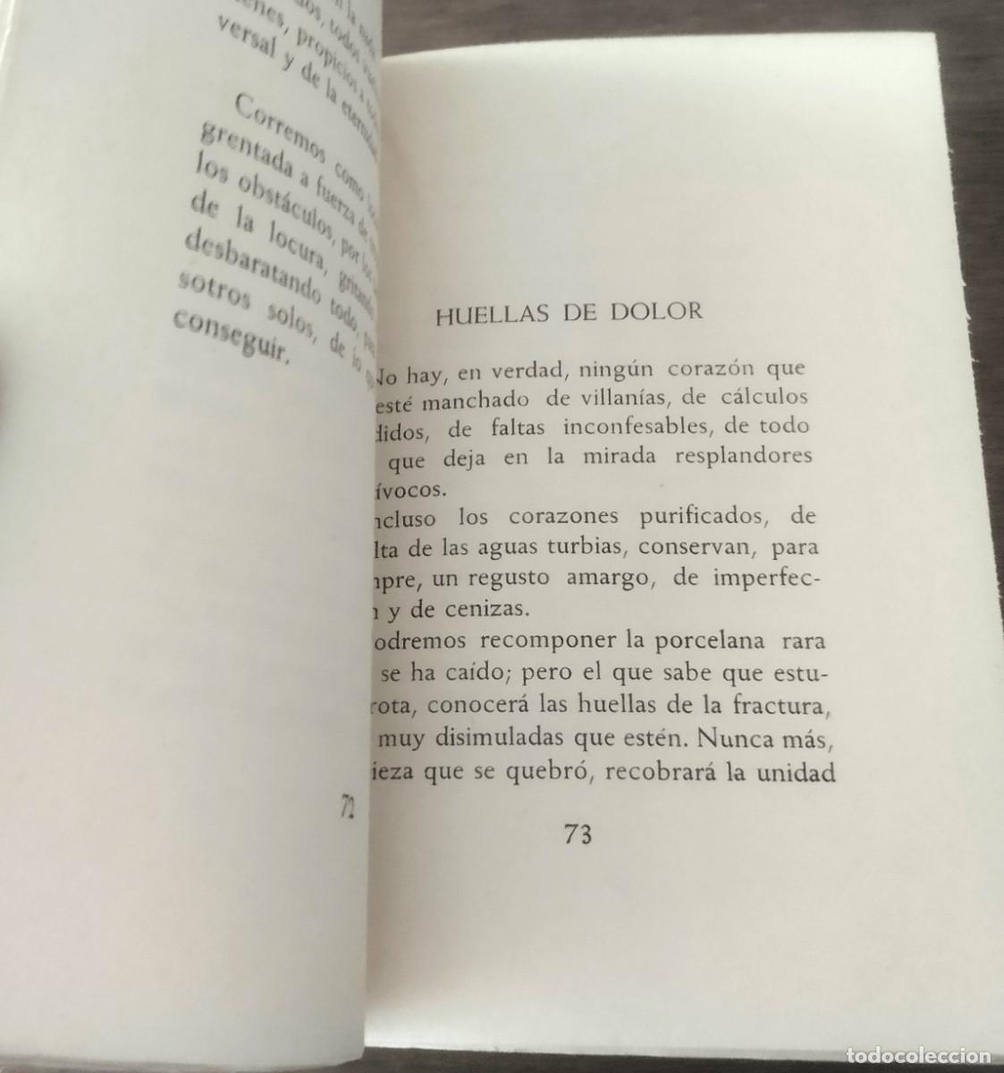 Libros de segunda mano: Leon Degrelle, Almas ardiendo, Madrid 1954 - Foto 4