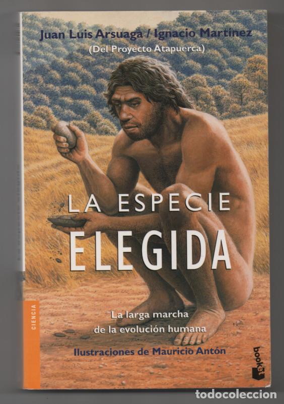 Libros de segunda mano: La especie elegida. Juan Luis Arsuaga e Ignacio Mart&iacute;nez - Foto 1