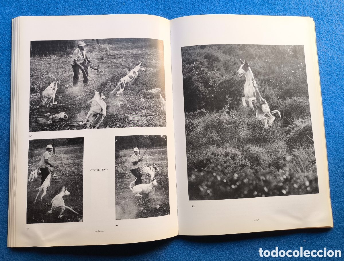 Libros de segunda mano: CAZA PODENCO IBICENCO LIBRO DESCATALOGADO - Foto 2