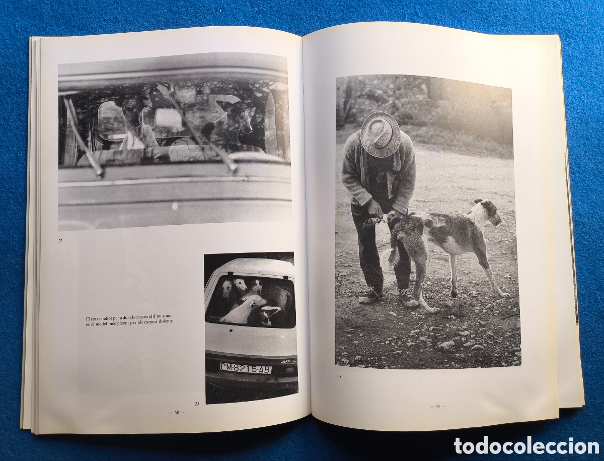 Libros de segunda mano: CAZA PODENCO IBICENCO LIBRO DESCATALOGADO - Foto 4