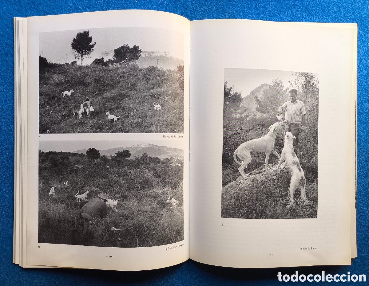 Libros de segunda mano: CAZA PODENCO IBICENCO LIBRO DESCATALOGADO - Foto 5