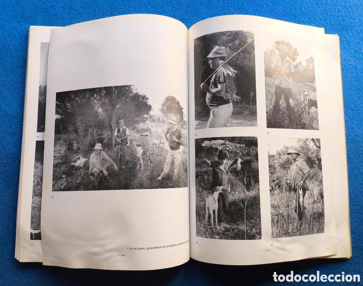 Libros de segunda mano: CAZA PODENCO IBICENCO LIBRO DESCATALOGADO - Foto 7
