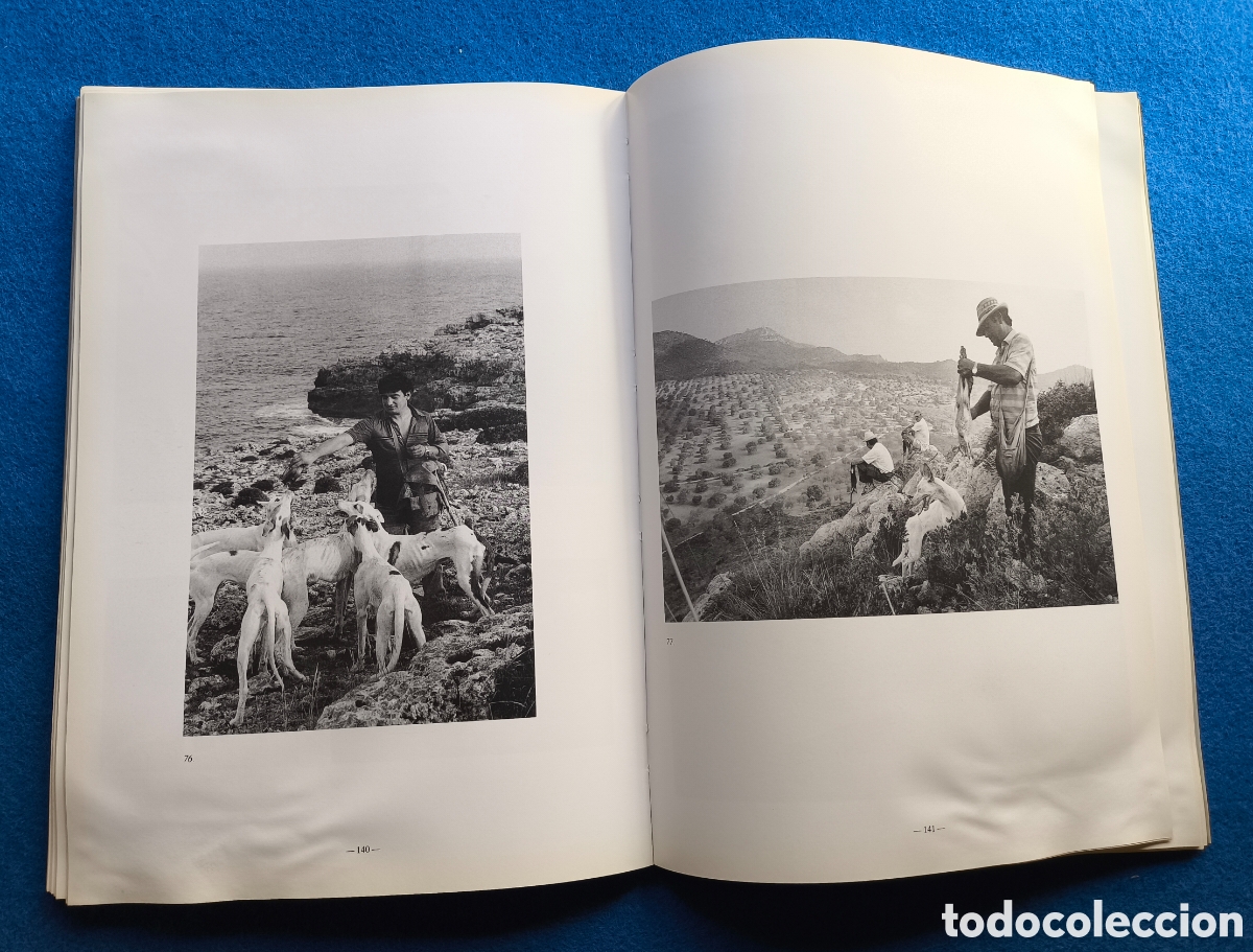 Libros de segunda mano: CAZA PODENCO IBICENCO LIBRO DESCATALOGADO - Foto 8