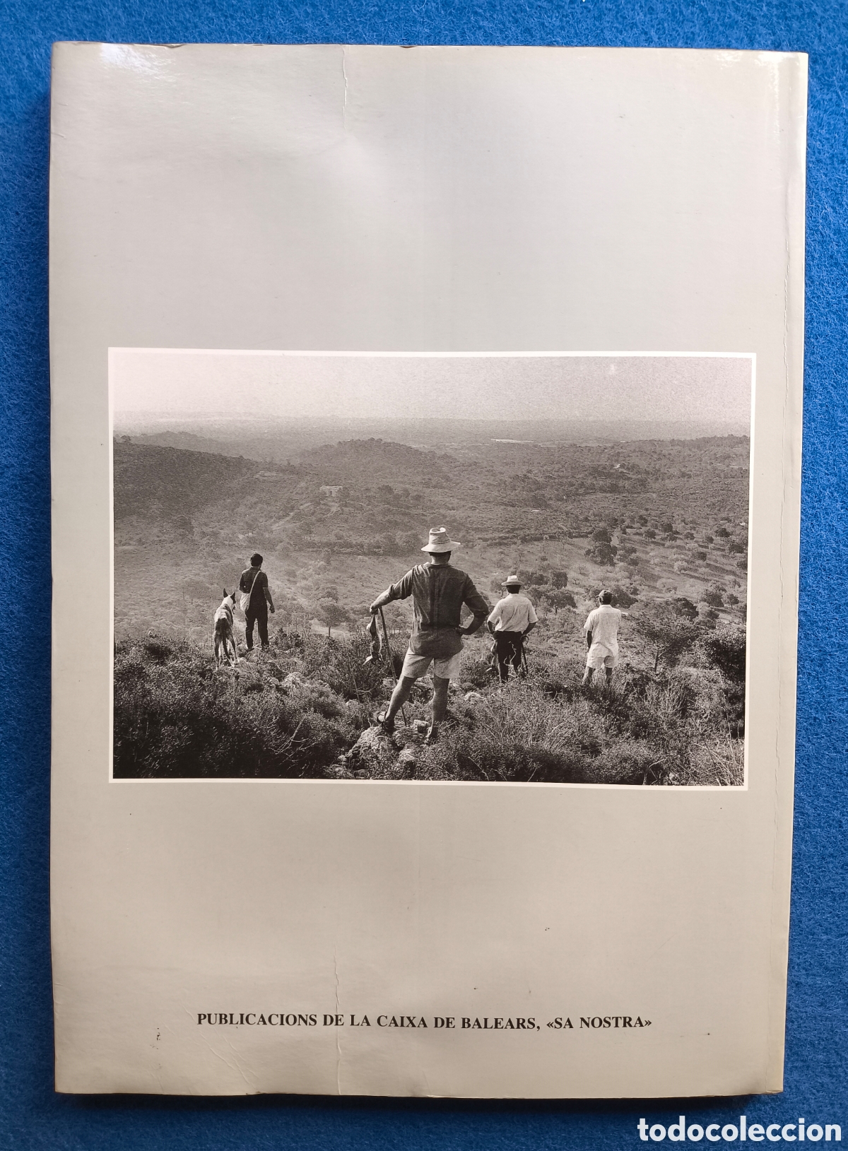 Libros de segunda mano: CAZA PODENCO IBICENCO LIBRO DESCATALOGADO - Foto 9