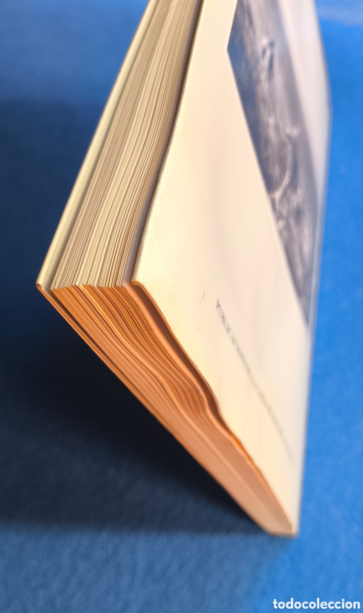 Libros de segunda mano: CAZA PODENCO IBICENCO LIBRO DESCATALOGADO - Foto 11