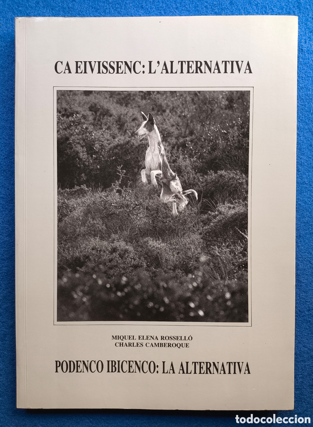 Libros de segunda mano: CAZA PODENCO IBICENCO LIBRO DESCATALOGADO - Foto 1