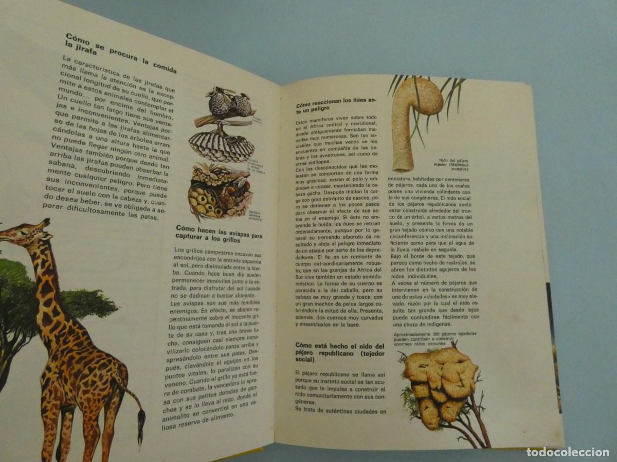 Libros de segunda mano: LIBRO ANTIGUO BIBLIOTECA BASICA JUVENIL EL LIBRO DEL COMO EDICIONES DANAE 1973 - Foto 2