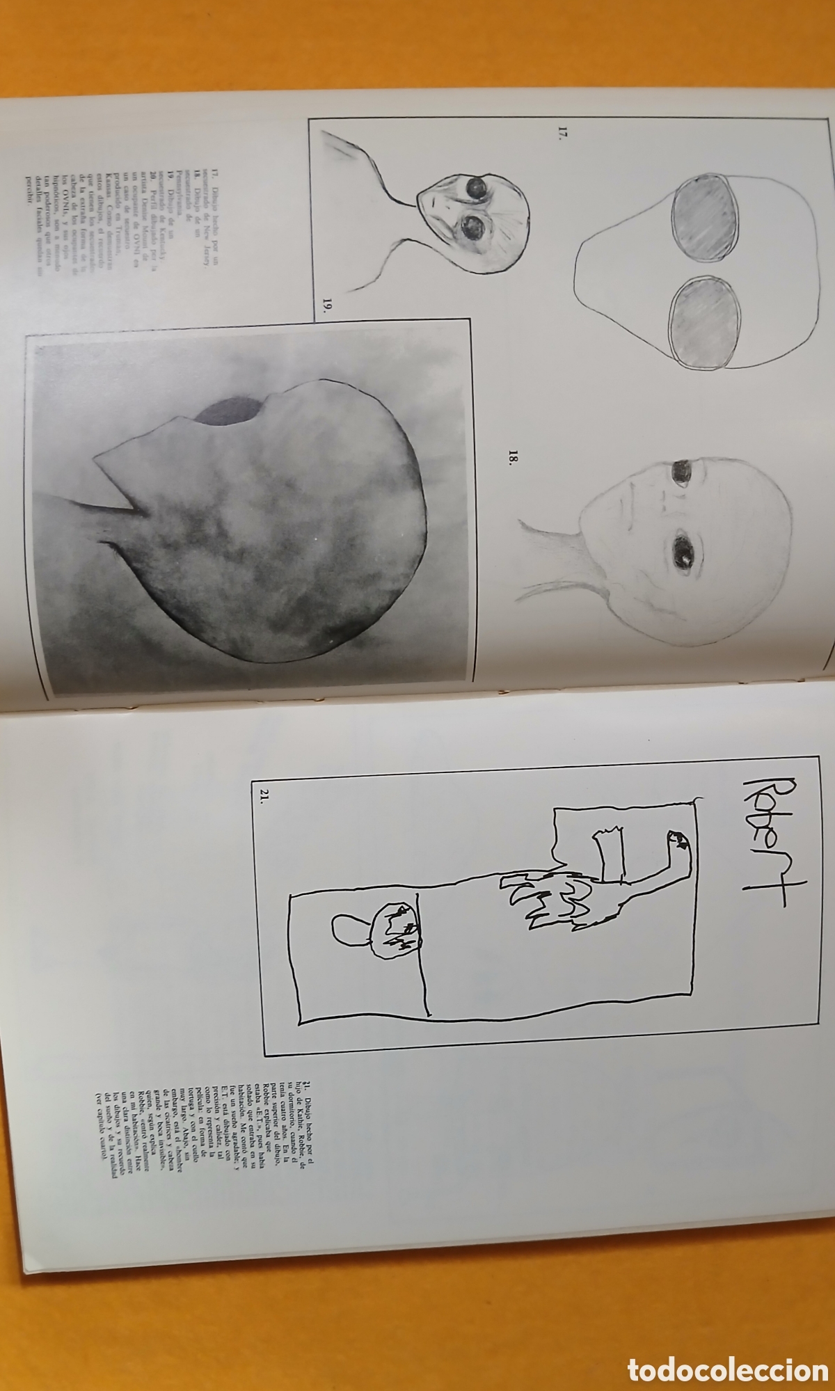 Libros de segunda mano: Intrusos, las incre&iacute;bles visitas a Copley Woods - Foto 9