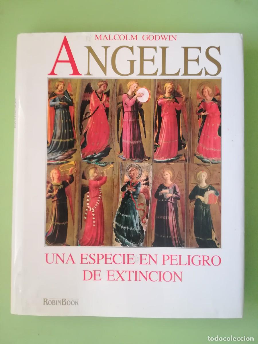 Libros de segunda mano: Angeles Malcolm Godwin Robin Book 1991 - Foto 1