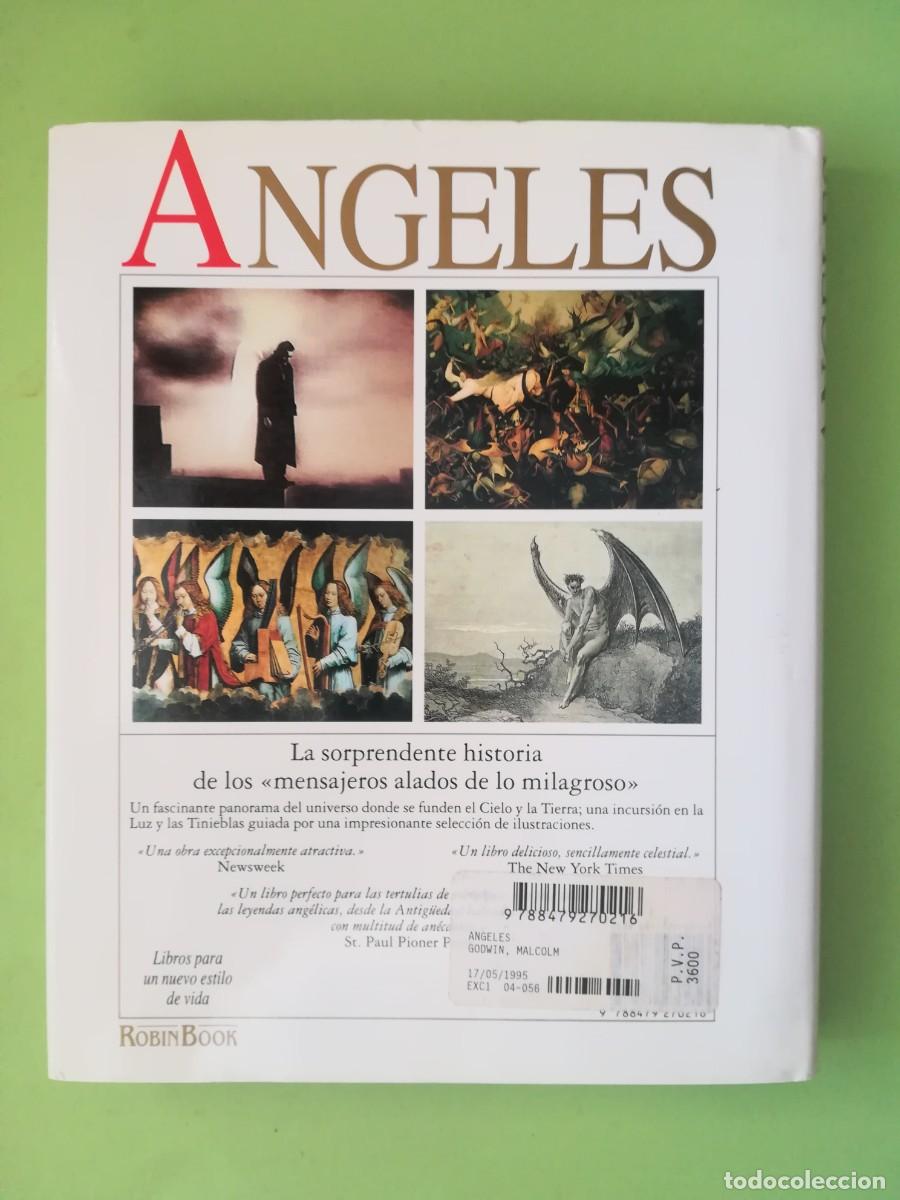 Libros de segunda mano: Angeles Malcolm Godwin Robin Book 1991 - Foto 2