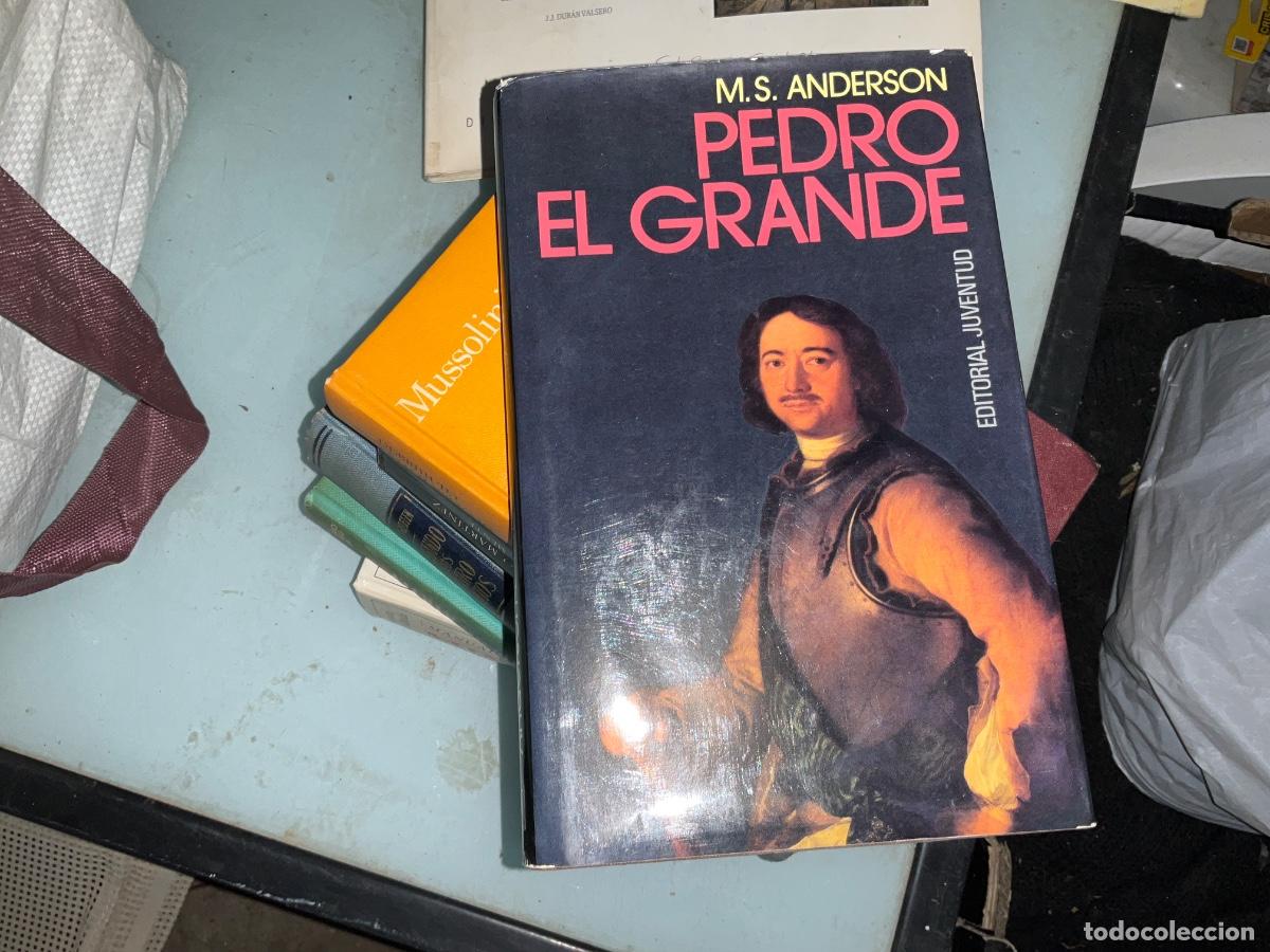 Libros de segunda mano: PEDRO EL GRANDE - M.S. ANDERSON EDITORIAL JUVENTUD - Foto 1