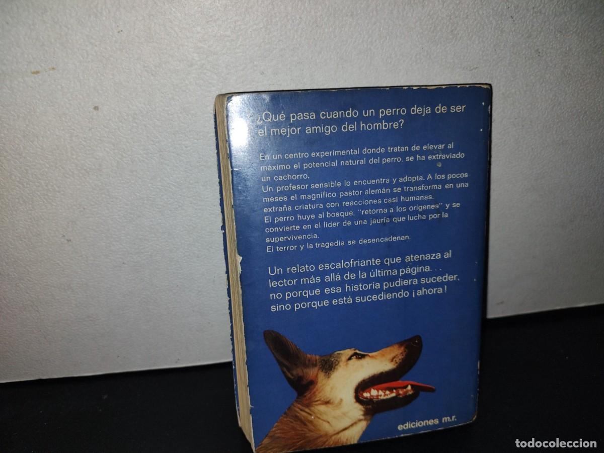 Libros de segunda mano: 151- LOS PERROS - ROBERT CALDER - EDICIONES MART&Iacute;NEZ ROCA - 1977 - Foto 7