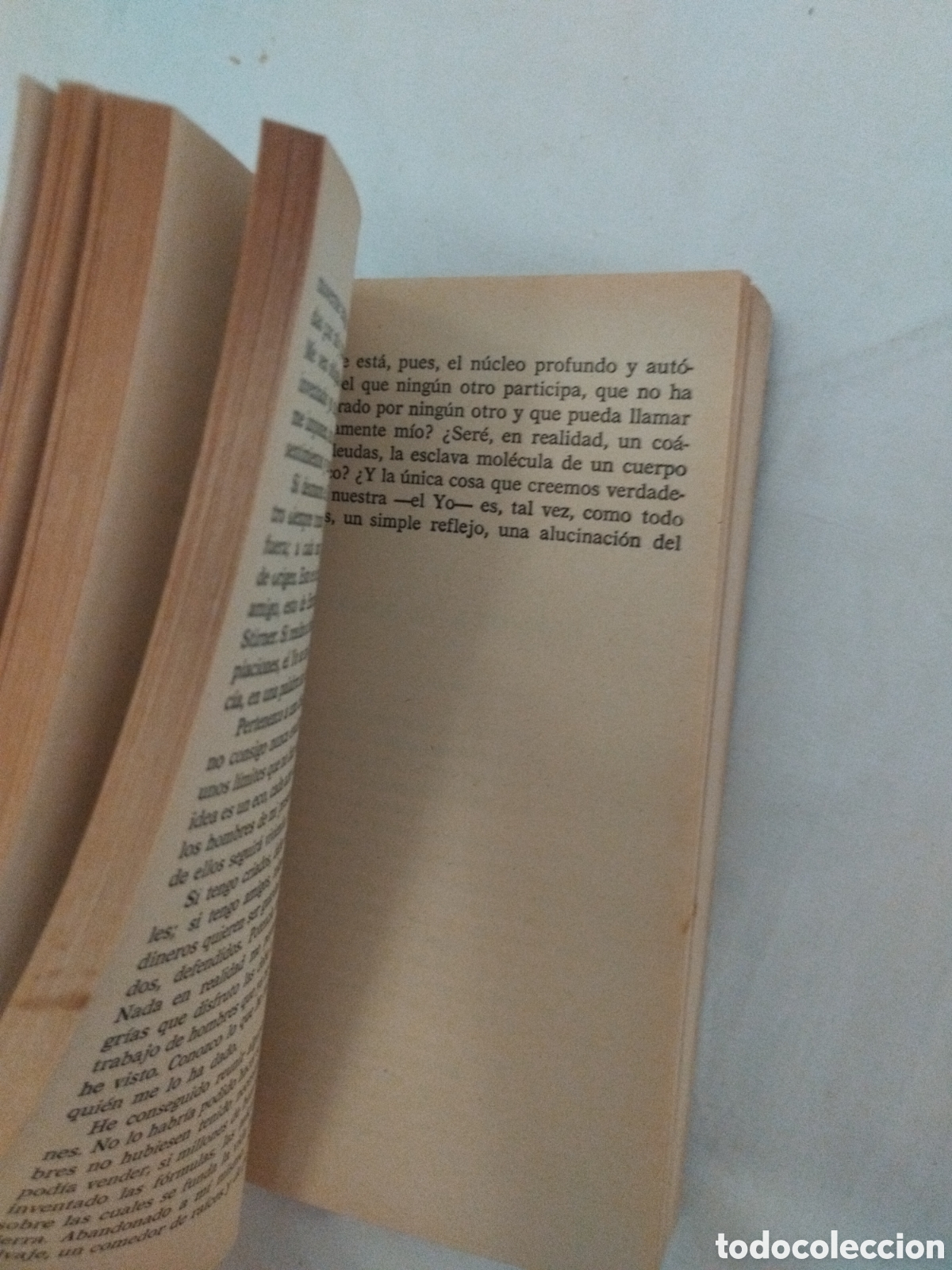 Libros de segunda mano: GOG. Papini, Giovanni - Foto 3