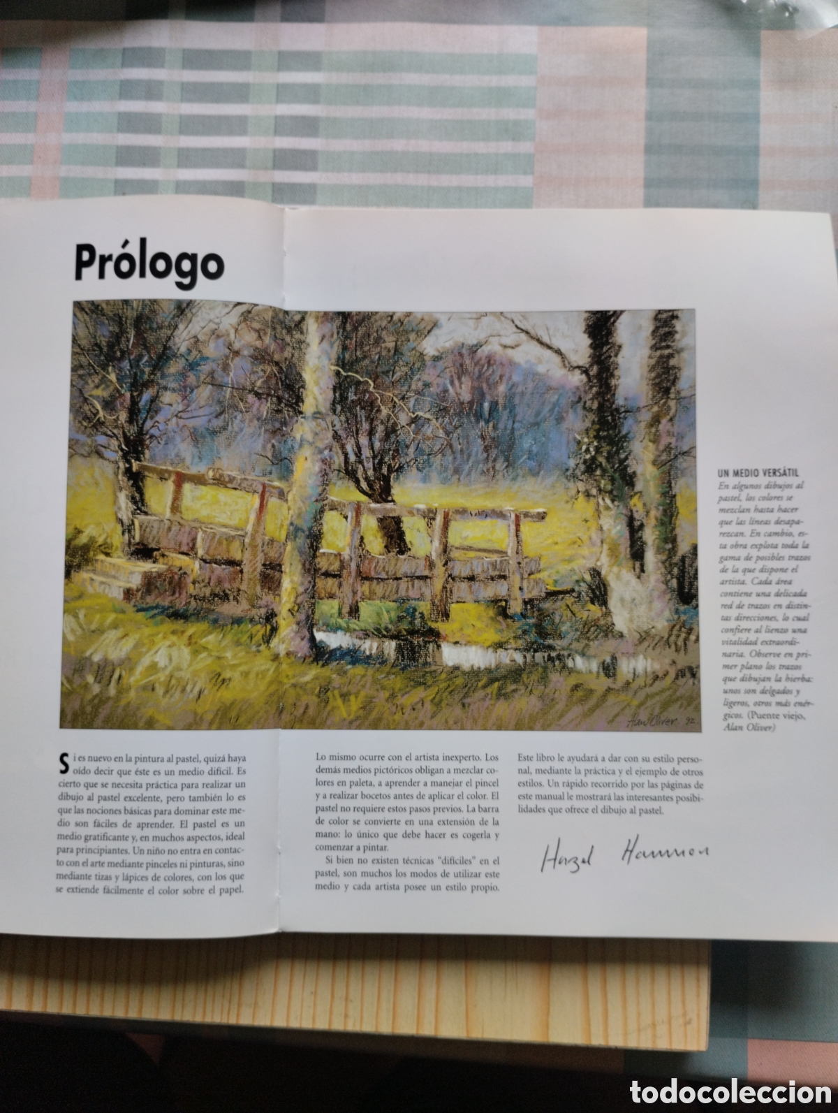 Libros de segunda mano: TALLER DE DIBUJO AL PASTEL - Foto 5