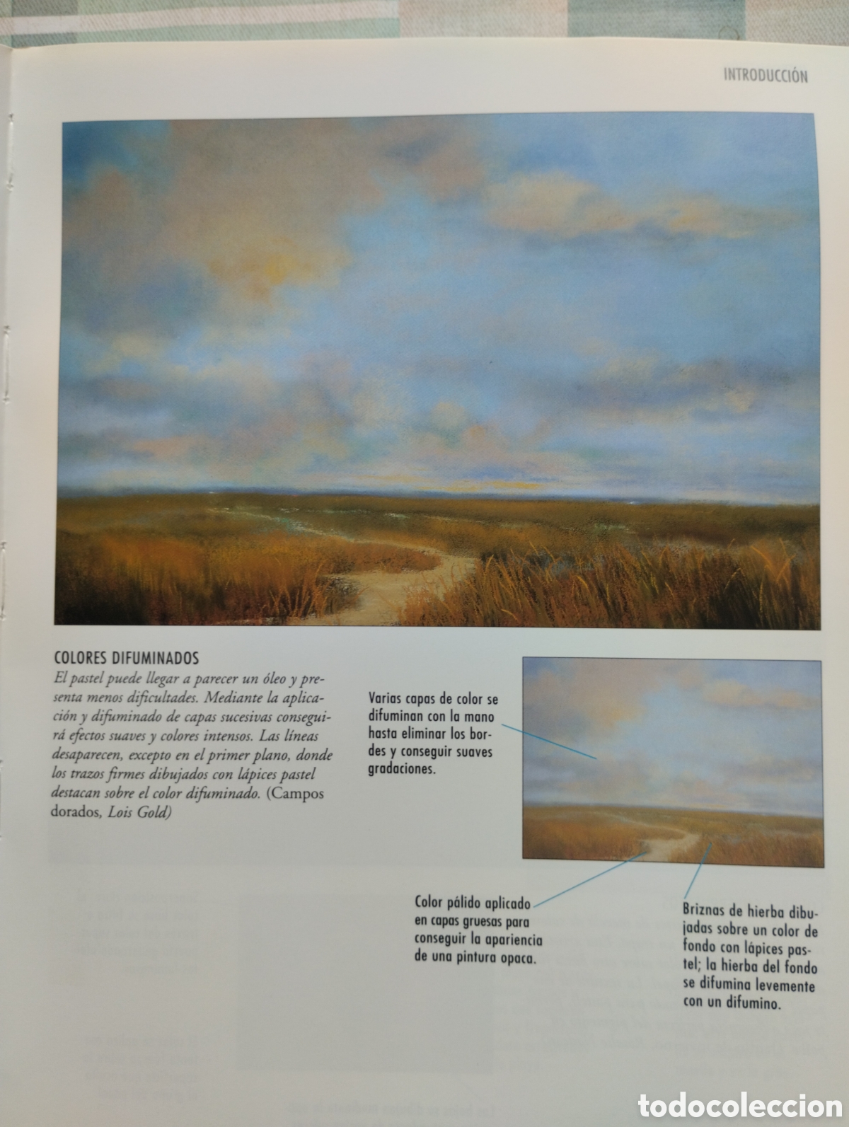 Libros de segunda mano: TALLER DE DIBUJO AL PASTEL - Foto 9