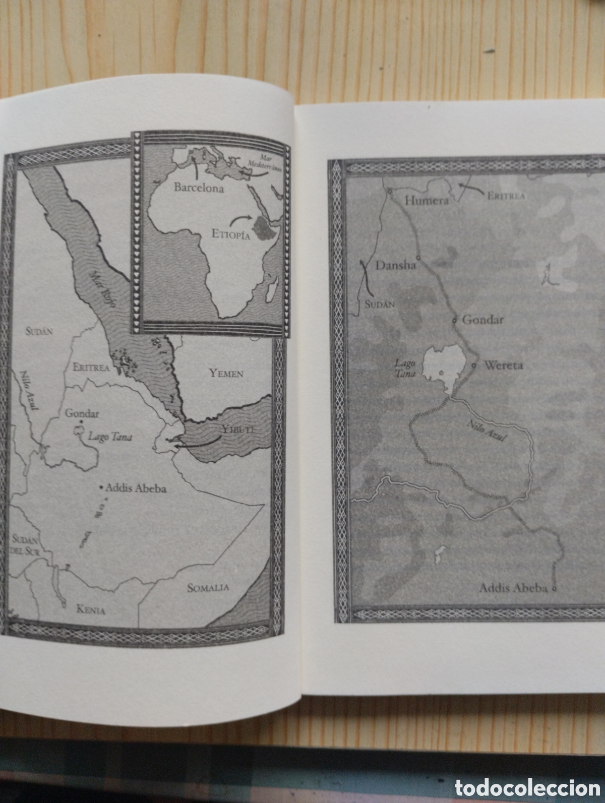 Libros de segunda mano: MADERA DE EUCALIPTO QUEMADA - Foto 7