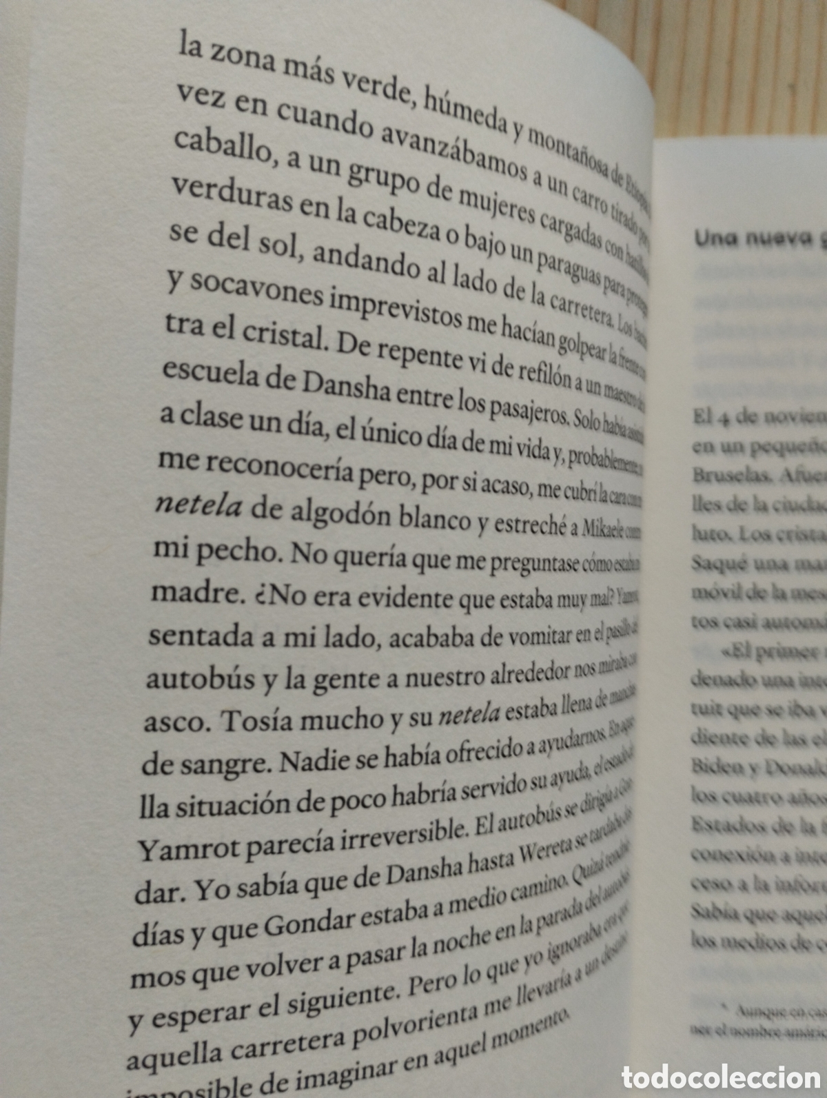 Libros de segunda mano: MADERA DE EUCALIPTO QUEMADA - Foto 9