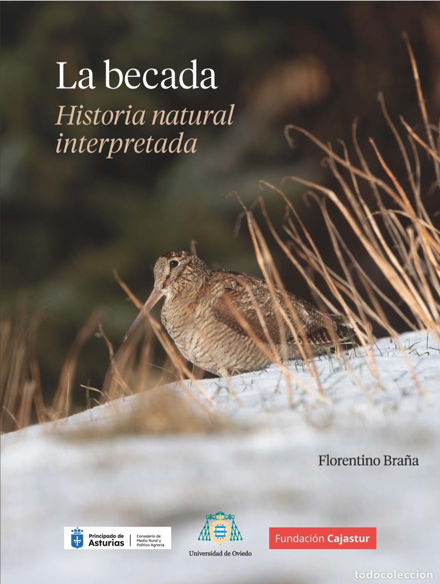 Libros de segunda mano: BECADA. Historia natural interpretada, LA - Foto 1