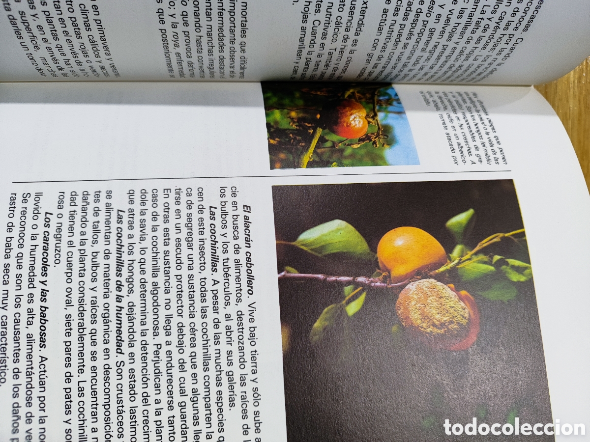Libros de segunda mano: Nueva biblioteca femenina - Foto 5