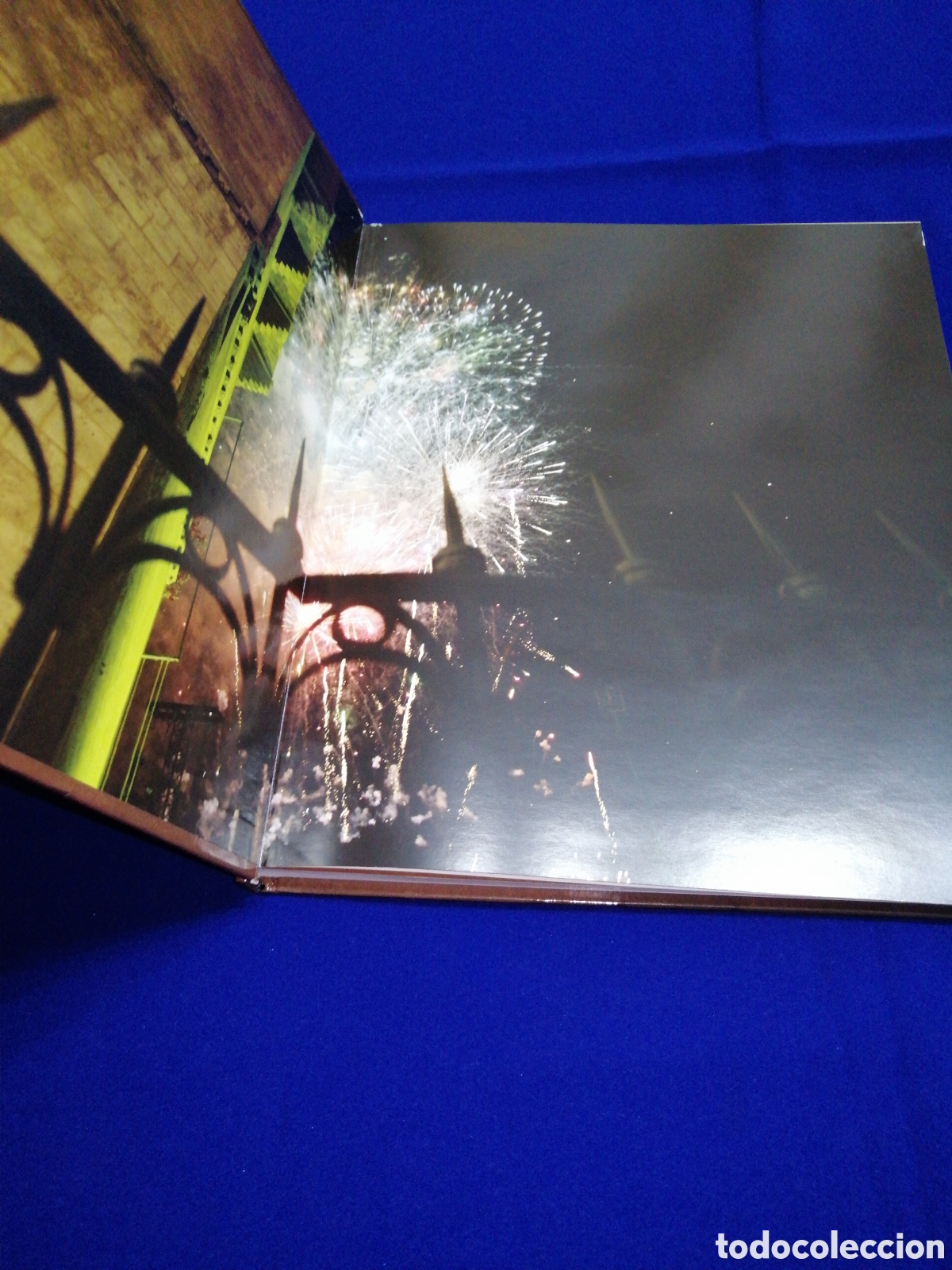 Libros de segunda mano: VIVIR LAS FALLAS 2010 - LIBRO VII - JUNTA CENTRAL FALLERA - Foto 2