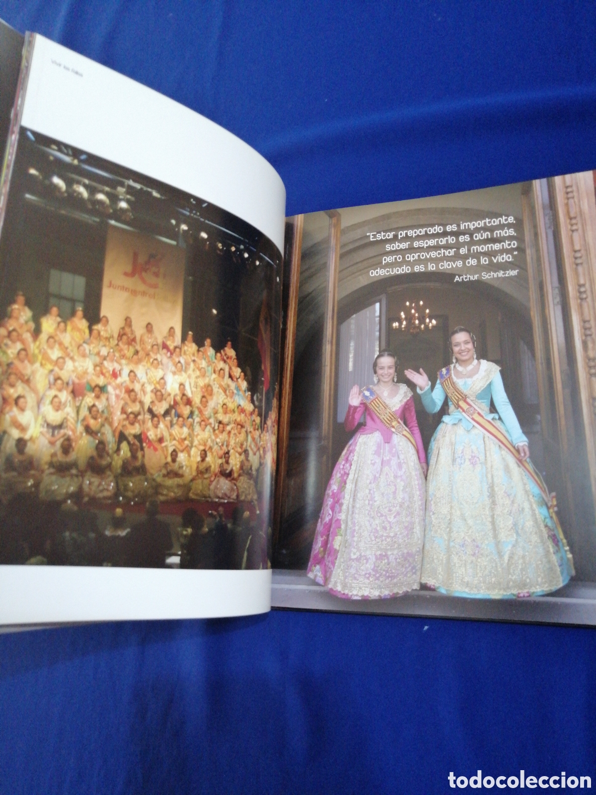 Libros de segunda mano: VIVIR LAS FALLAS 2009 LIBRO VI JUNTA CENTRAL FALLERA - Foto 4