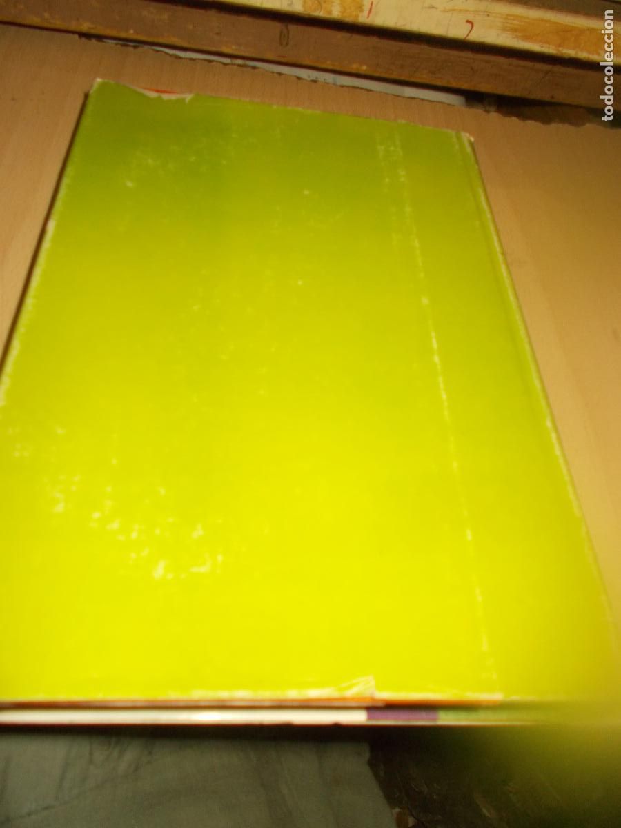 Libros de segunda mano: Robin Hood. El despertar - Foto 2