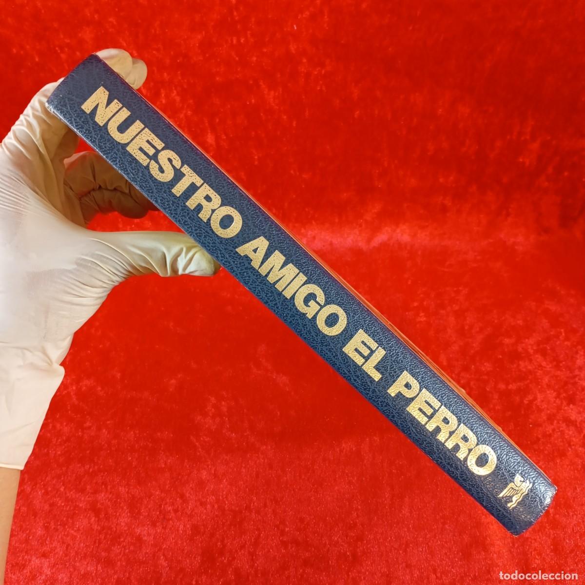 Libros de segunda mano: NUESTRO AMIGO EL PERRO - SELECCIONES DEL READERS DIGEST - 1983 / 3537 - Foto 3