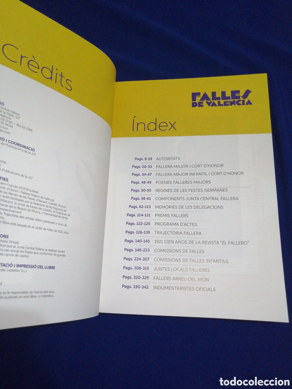 Libros de segunda mano: LLIBRE FALLES 2021 JUNTA CENTRAL FALLERA- IDIOMA VALENCIANO - Foto 2
