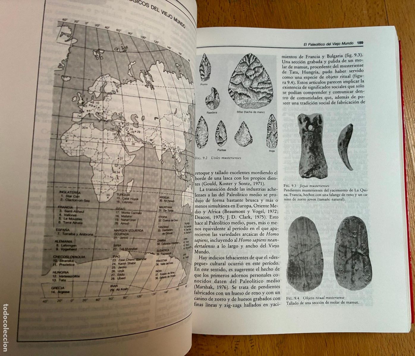 Libros de segunda mano: MARVIN HARRIS INTRODUCCION A LA ANTROPOLOGIA GENERAL - Foto 3