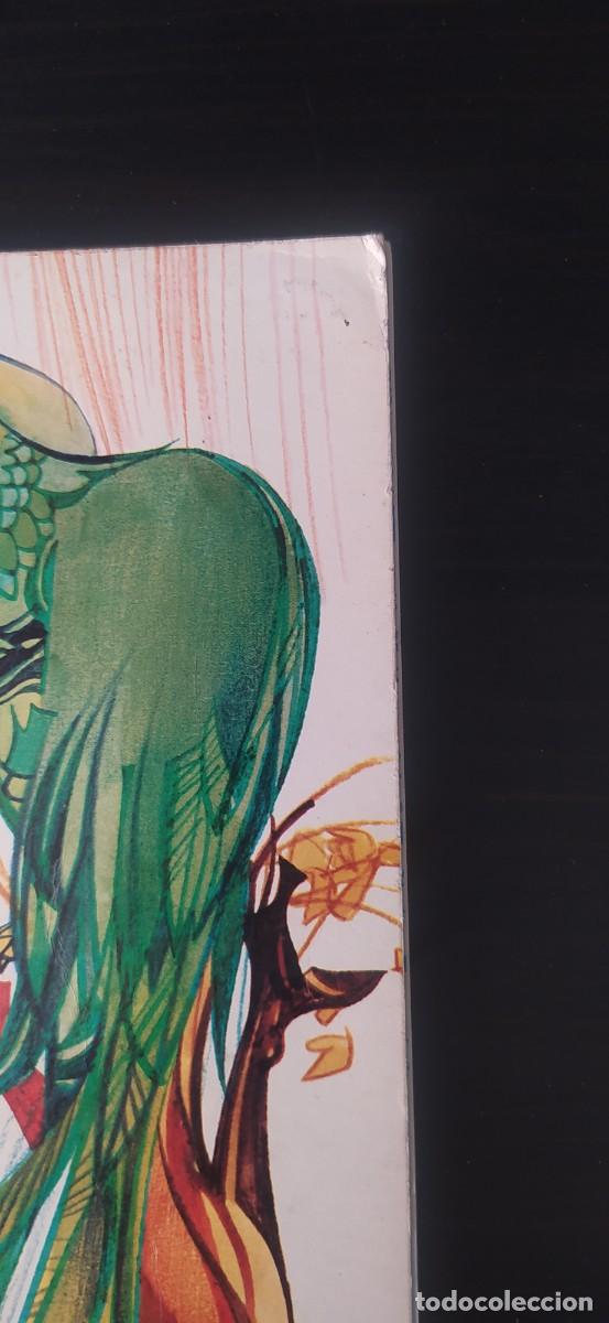 Libros de segunda mano: LIBRO LECTURA EL P&Aacute;JARO VERDE DE SM - Foto 2