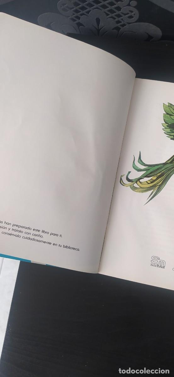 Libros de segunda mano: LIBRO LECTURA EL P&Aacute;JARO VERDE DE SM - Foto 7
