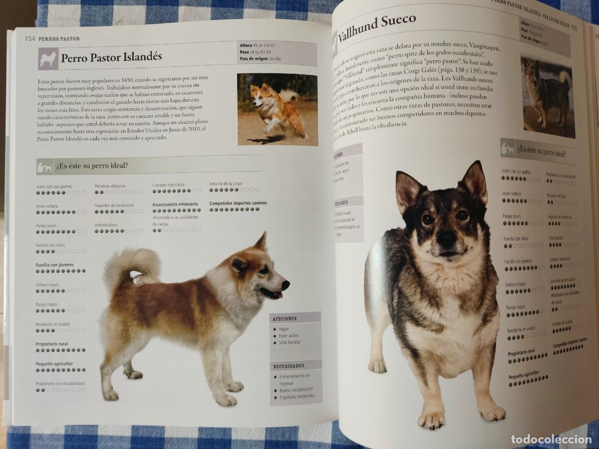 Libros de segunda mano: Libro: tu perro ideal (David Alderton) - Foto 3